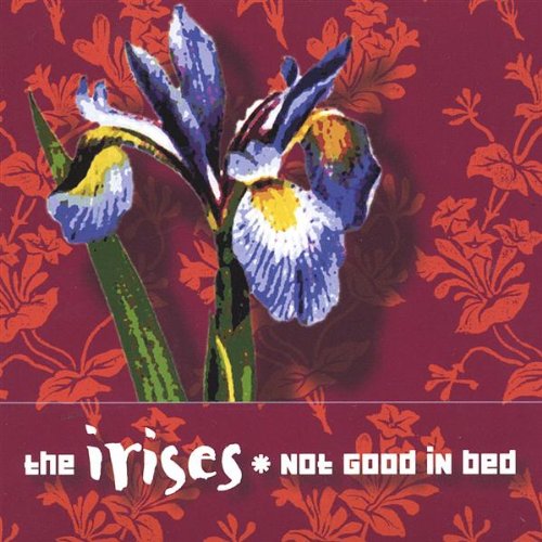 Not Good in Bed [Audio CD]