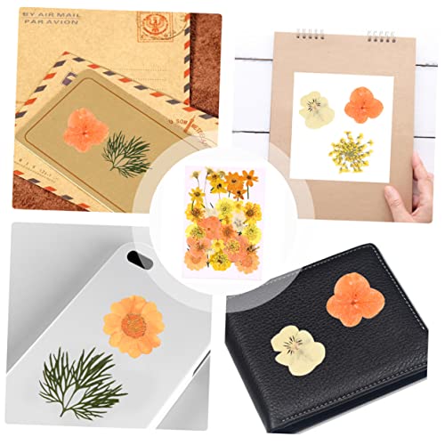 Kit artesanal LIFKOME 40 piezas flores secas para decoración miniatura 7