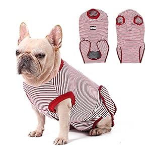 Vanansa Wundschutzanzüge für Hunde, Schutzkleidung für Hunde nach Operation, Atmungsaktive Erholungsanzug für Kleine…