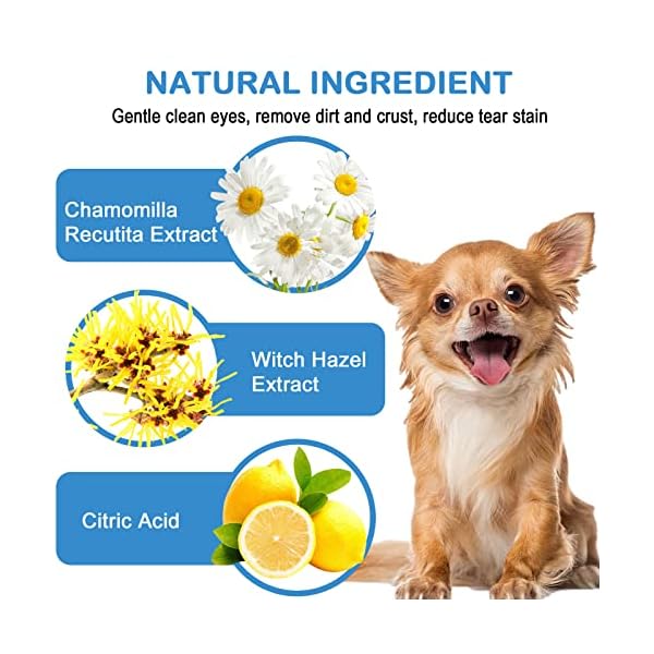 Dog Eye Wipes Tear Stain Remover – 120 Count Cat Dog Wipes for Eyes Cleaner – Pet Wipes for Eye Cleaning, Remove Dirt, Discharge and Crust (3.15 in) Dog Eye Wipes Tear Stain Remover – 120 Count Cat Dog Wipes for Eyes Cleaner – Pet Wipes for Eye Cleaning, Remove Dirt, Discharge and Crust (3.15 in)