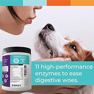 Digestive Enzymes for Dogs & Cats : Protein, Carbs, Starches & Fats Digestion : Supports Diet Change : Enzyme Miracle (364 Scoops, Powder)