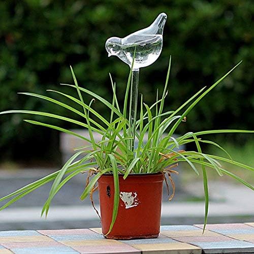 Miniatura 7 de Pájaros de vidrio duraderos, globos de riego para plantas, pajitas de riego automático, paquete de 3 regalos para jardineros, bombillas de riego de