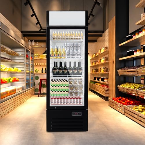 12.5 Cu Ft Commercial Beverage Refrigerator with 1 Glass Doors - Upright Drink Cooler Merchandiser with LED Light Display, 4 Adjustable Shelves, Black, ETL Approved for Business & Retail - Image 3