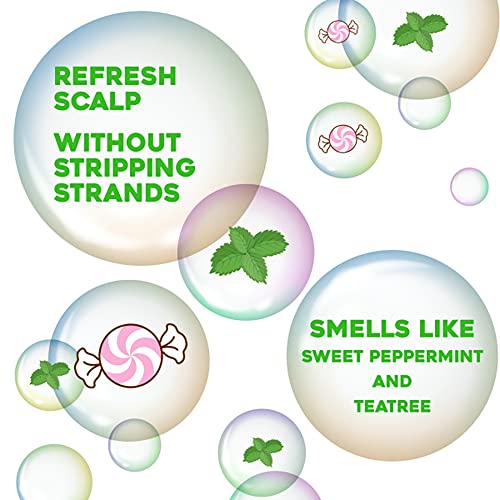 Ogx Extra Strength Refreshing Scalp + Teatree Mint Shampoo thumb #5