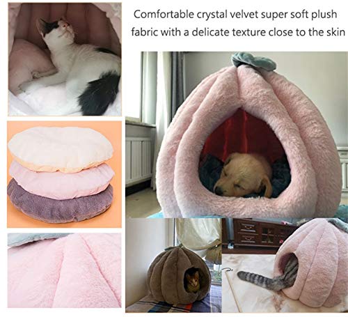 DHGTEP Winter Fluffy Cotton Beheizte Haustier Katze Hundehaus Bett, Weiche Katze Höhle Iglu Mit Abnehmbaren Waschbaren Gemütlichen Matte Für Kleine Mittlere Katzen Hunde Bett