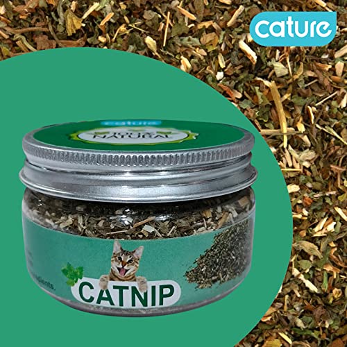 Image of Cature Care by Nature Mid Himalayan Natural Mint Cat Catnip for Cats & Kittens (Style 2)
