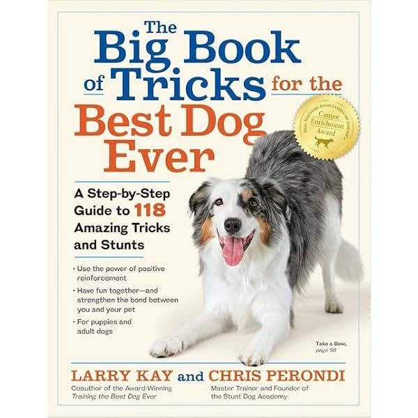 The Big Book of Tricks for the Best Dog Ever: A Step-by-Step Guide to 118 Amazing Tricks and Stunts The Big Book of Tricks for the Best Dog Ever: A Step-by-Step Guide to 118 Amazing Tricks and Stunts