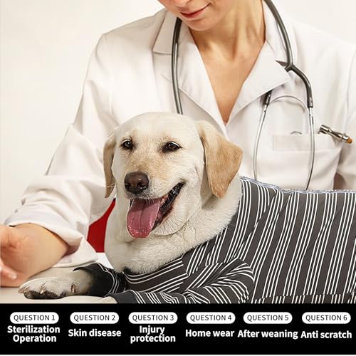 Image of Dog Recovery Suit, Pet Surgery Suits for Female Male, Striped Recovery Shirt Dog Abdominal Wounds Bandages, E-Collar & Cone Alternative, Neuter Stop Licking Onesie Body Suits for Large Dogs