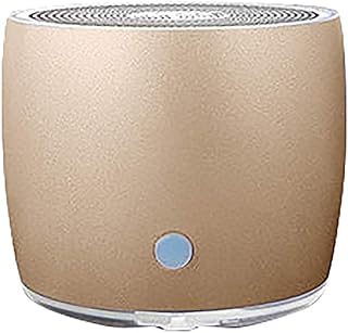 XiaoDong1 Golden Bluetooth altoparlante portatile esterno altoparlante HIFI altoparlante wireless portatile stereo BT 5 0 USB altoparlante TF card XiaoDong1 Golden Bluetooth altoparlante portatile esterno altoparlante HIFI altoparlante wireless portatile stereo BT 5 0 USB altoparlante TF card