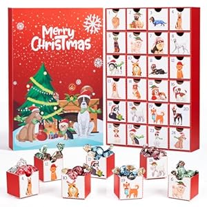 Dog Advent Calendar, Reusable Empty Advent Calendar to Fill Yourself, Christmas Gifts for Dog Lovers – Personalize with Treats for Dog or Human Xmas Countdown Gift Box