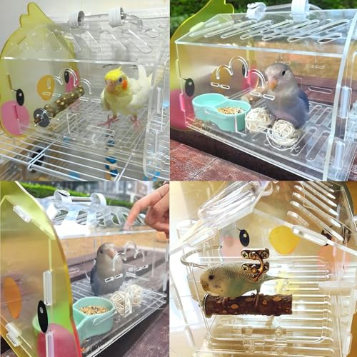 Hamiledyi Mochila de transporte de periquito transparente para transporte de pássaros pequena com po