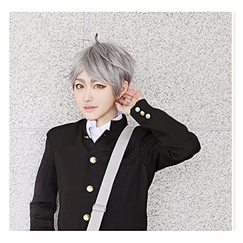 Anime Cosplay Wig Haikyuu!! Sugawara Koushi Cosplay Wig