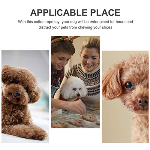 Balacoo 6 peças de brinquedos mastigáveis coloridos elefante leão Seastar filhote polvo em forma de