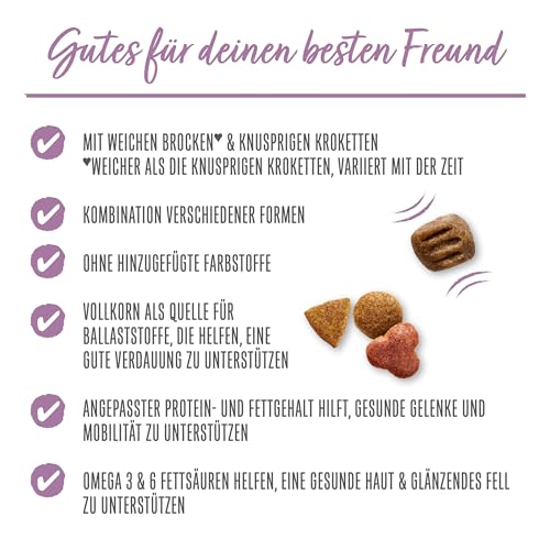 Beneful Glückliche Jahre 7+ Senior Hundefutter trocken, mit Huhn und Gartengemüse, 1er Pack (1 x 12kg)