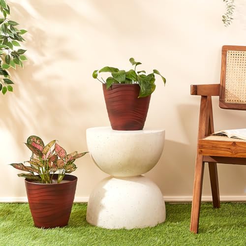 Image of Amazon Brand- Solimo Indoor and Outdoor Round 10 Inch Flower Planter Pot Best for Terrace /Balcony /Home /Office Decor - Set of 2