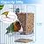 Bird Parrot Feeders, No Mess Automatic Cage Feeder Dispenser Food Container, Auto Bird Seed Bowl for Small Medium Birds, Cockatiel Canary Cockatoos Parakeet Conure Lovebird, Acrylic Clear (Feeder)