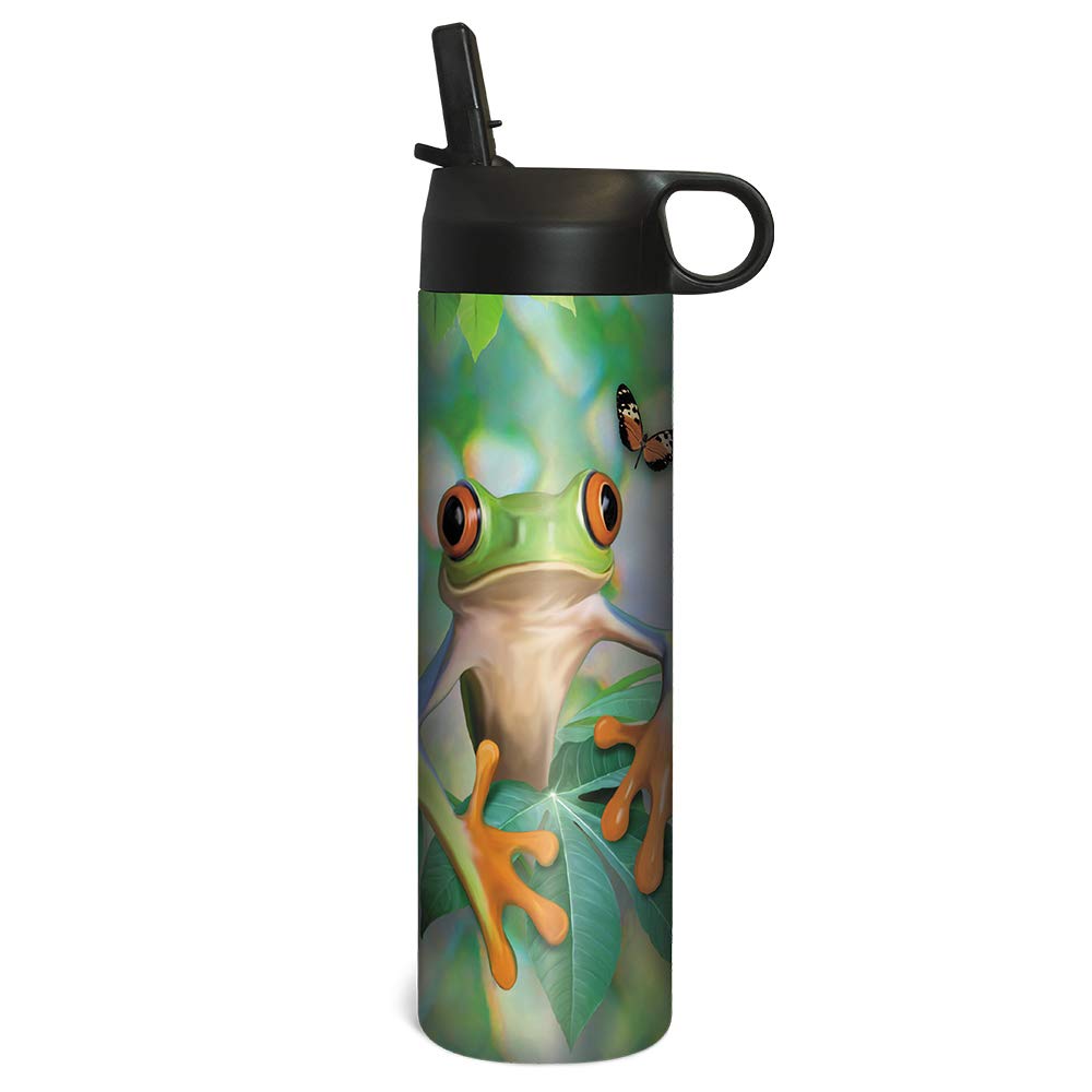 Amazon.com | Tree-Free Greetings SP68508 Sportiva Stainless Steel