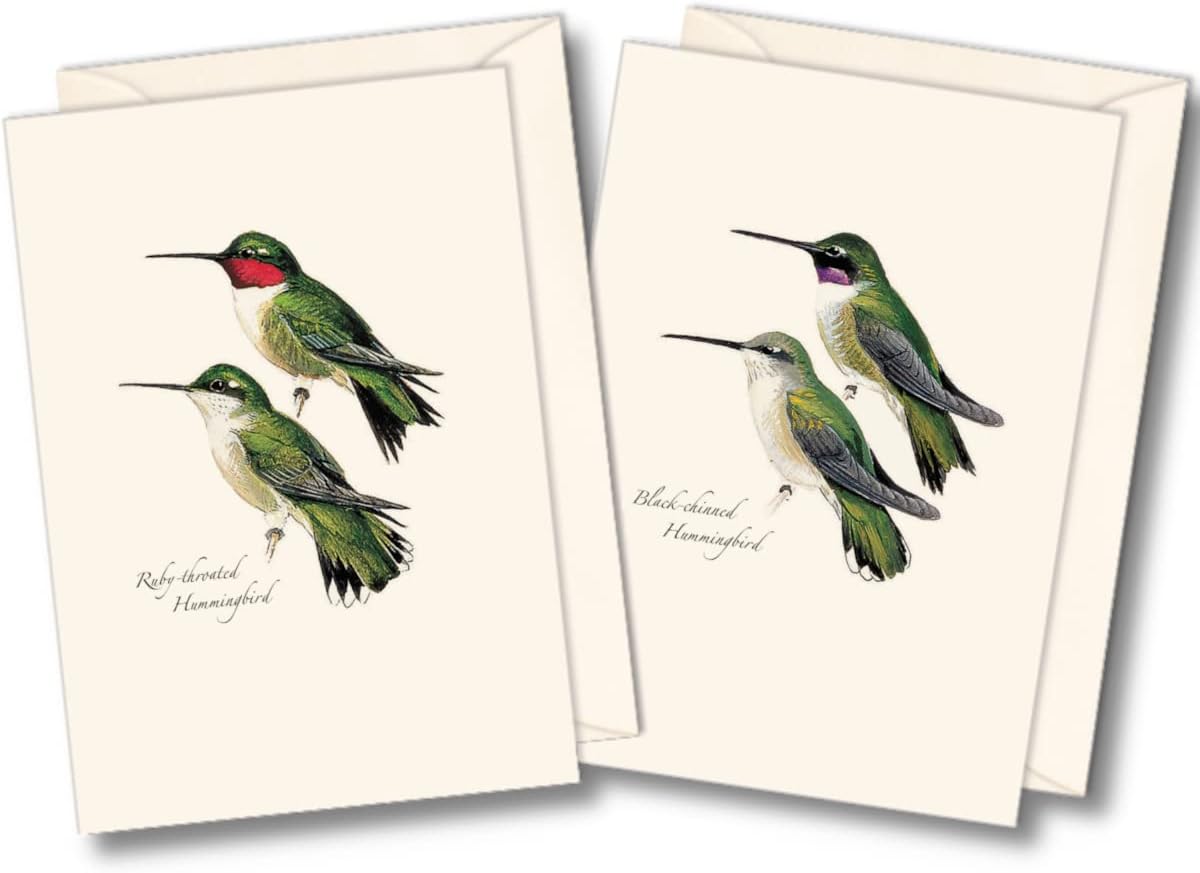 Earth Sky + Water - Peterson’s Hummingbird Notecard Set - 8 Blank Cards with Envelopes (4 each of 2 styles)