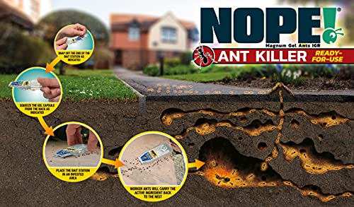 NOPE! Ant Killer Bait Station (6 x 5g) Indoor & Outdoor Ant Traps. Eradicates Ants and their Colony & Nest - Image 6