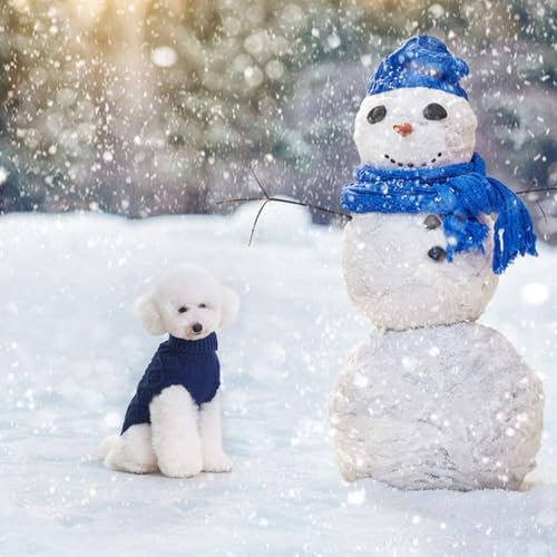 Image of BINGPET Dog Sweater for Small Dogs, Turtleneck Knitted Clothes