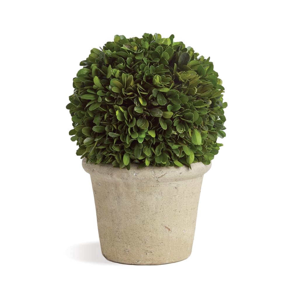 Preserved Boxwood Ball in Grey Pot, 8-Inch