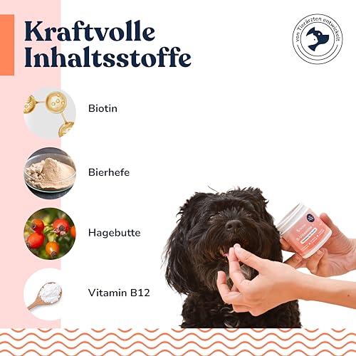 Felmo- Hochdosiert B-Vitamine + Tabletten für Hunde (120g) einschließlich Vitamin B1, B2, B3, B6 und B12 - Mit Biotin & Bierhefe leicht zu verabreichen- Mit Tierärzten entwickelt und empfohlen