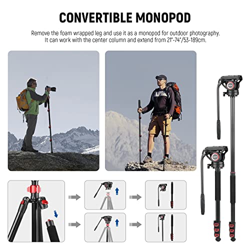 Image of NEEWER 72 inch Fluid Head Video Tripod Monopod, Aluminum Alloy QR Plate Compatible with DJI RS Gimbal, 360 Pan & +90 /-70 Tilt for DSLR Camera Camcorder, Max Load 13.2lb /6kg, TP72A