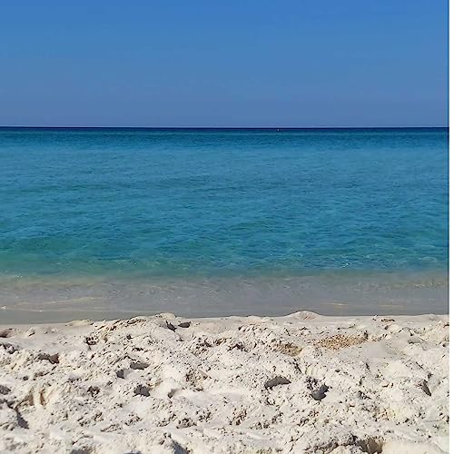 EP 7: Summer Bucket Lists