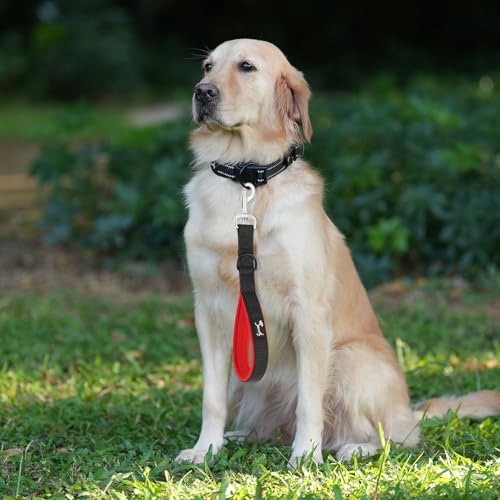 PETTOM Kurzführer Hund mit Griff Strapazierfähigem Nylongewebe Kurze Hundeleine für Hundetraining Geeignet (M: 2.5 x 32 cm, Schwarz)