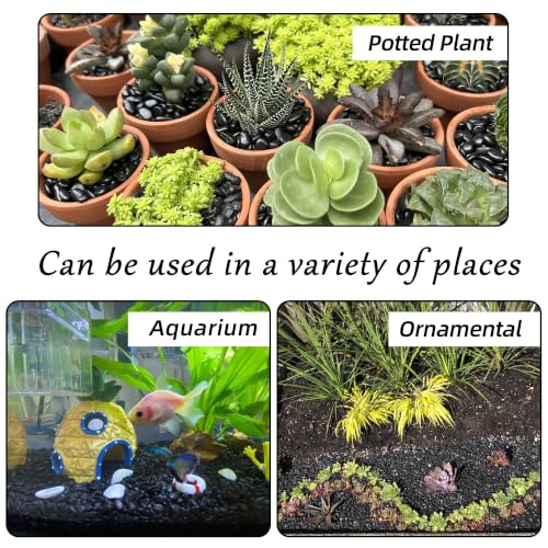 Image of CJGQ 45lb 1 /4 inch Small Pebbles Black for Plants,Potting,Succulents Aquarium Fish Tank Vases Decorative Garden Polished Gravel Rocks Stones
