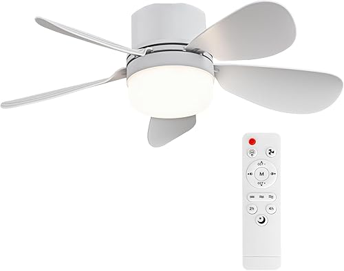 ASALL Ventilateur à douille avec télécommande, petit ventilateur de plafond port