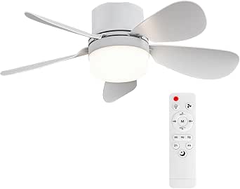 Socket Fan Light with Remote Control, 16.54-Inch Ceiling Fan with Dimming and Night Light