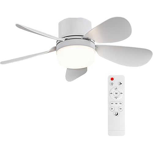 Socket Fan Light with Remote Control, Portable Small Ceiling Fan with Lights for Bedroom, Kitchen, Living Room, with Dimming Function, 1000 Lumens, Screws into E26/E27, 16.54 Inches Diameter