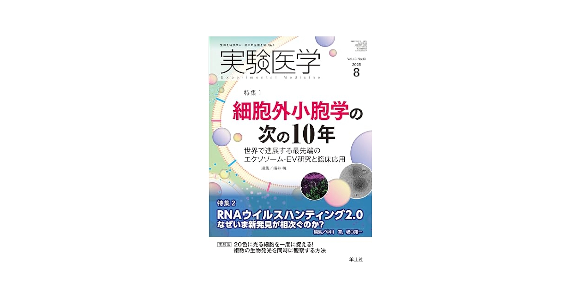 Amazon.co.jp: 実験医学 2025年8月号 Vol.43 No.13 特集1:細胞外