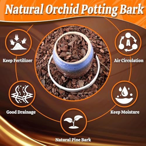 Orchid Potting Bark-6QT Organic Orchid Bark for Plants, All Natural Pine Bark Wood Chips for Houseplant Mulch, Orchid Plants Root Development, Mulch for Potted Plants by Avalution - Image 2