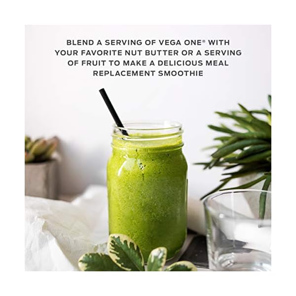 Vega-One-Organic-Chocolate-Meal-Replacement-Protein-Powder-Vegan-Plant-Based-Superfood-Vitamins-Probiotics-Dairy-Free-Gluten-Free-Pea-Protein-for-Women-and-Men-16-Pounds-17-Servings Vega Organic All-in-One Vegan Protein Powder, Chocolate - Superfood Ingredients, Vitamins for Immunity Support, Keto Friendly, Pea Protein for Women & Men, 1.6 lbs (Packaging May Vary)