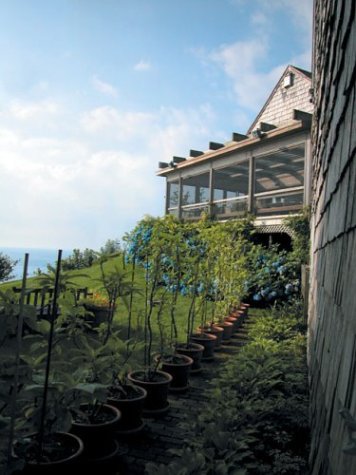 Um jardim perto do mar (livros de laboratório)