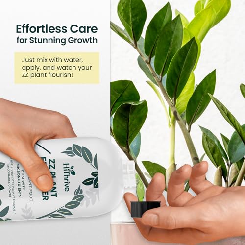 Fertilizante Líquido para Planta ZZ 16 oz miniatura 5
