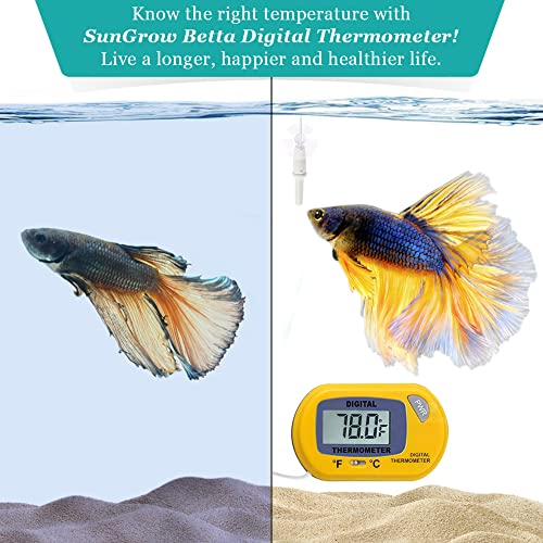 Sungrow Digital Betta Thermometer, Yellow Color, Accurately Reads Aquarium Temperature, With 2 Suction Cups, 1-Pack #TOP3