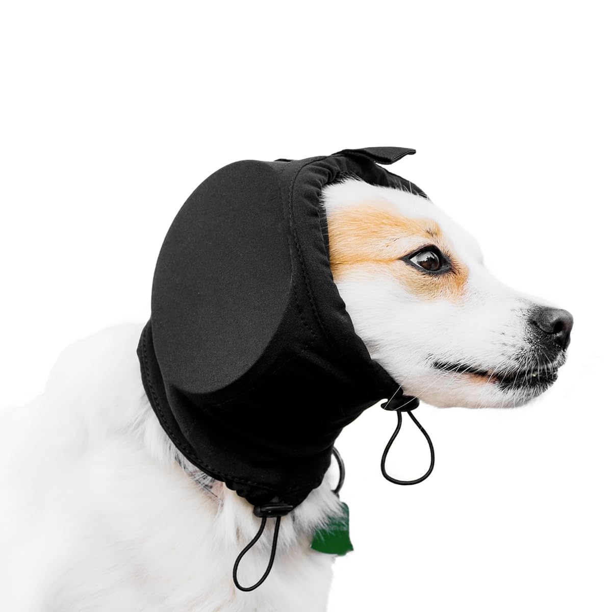 Dog Ear Protector Snood for Long-Eared Dogs, Walking Ear Cover (Black, S)