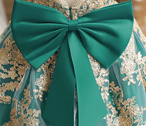 Image of HNXDYY Little Girls Princess Dress Girls Fancy Party Costume