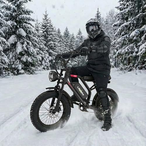 Likebike Electric Bikes for Adults, 3000W/2000W/1500W Electric Mountain Bike 40MPH 20" Fat Tire, Adults Electric Bicycle 48V Removable Battery, 7 Speed Full Suspension Ebikes