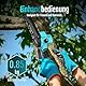 YARDCARE Mini Kettensäge, 6 Zoll Akku Kettensäge mit Automatischer Öler,Akku und Ladegerät,Elektrische Handkettensäge Akku für Gartenscheren Astschere Holzschneiden