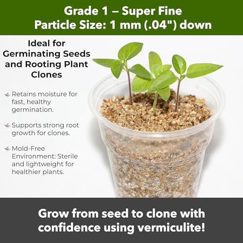 Organic Superfine Vermiculite for Indoor Gardening Plants and Mushrooms – Enhances Soil Aeration, Seed Germination, Rooting Cuttings – Small Packages and Bulk (Vermiculite Grade 1 - Superfine, 30 qts) by GARDENWISE - Used condition - Image 6