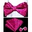 Hot Pink Solid Paisley
