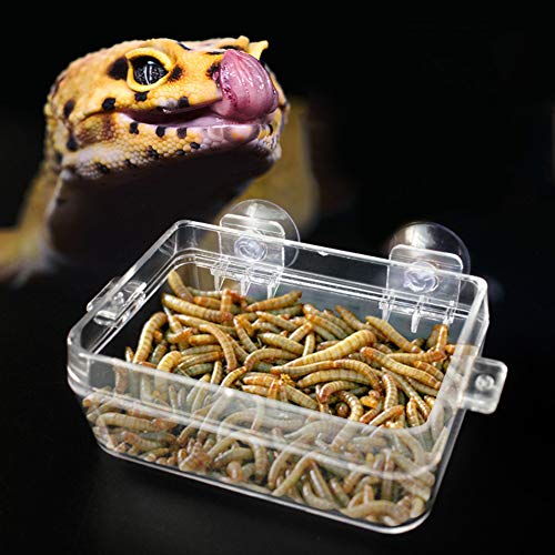 Reptile Basin, ABS Bait Basin Reptile Food Bowl, Worm Feeding Basin Transparente para colocar larvas