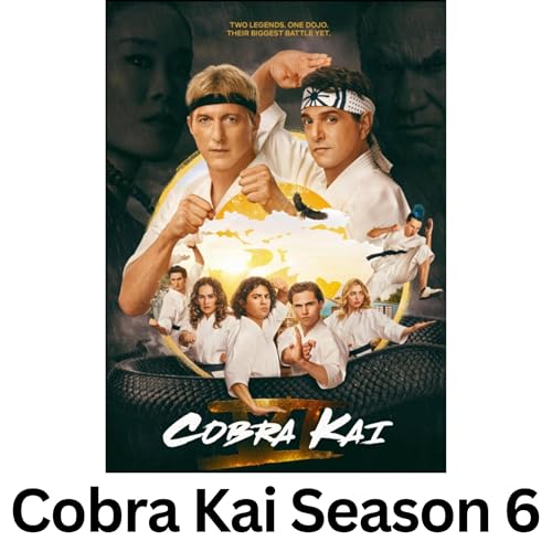 Cobra Kai the final season/series
