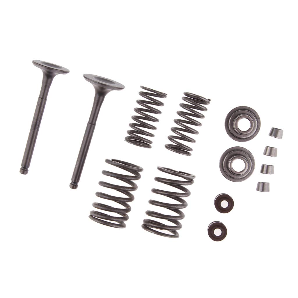 Lot de 5 ressorts de soupapes d'échappement d'admission pour VTT 110 cc Dirt Pit Bike Go Kart Trail Bike
