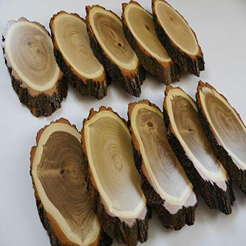 GTK - Geweihe & Trophäen KRUMHOLZ 10 carteles de madera de acacia REH para trofeos grandes de corzo, disco de árbol