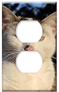 Switch Plate Outlet Cover - Cat Animals Nature Kitten Natureworld Baby Cat